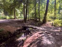 Veluwe Brücke im Wald